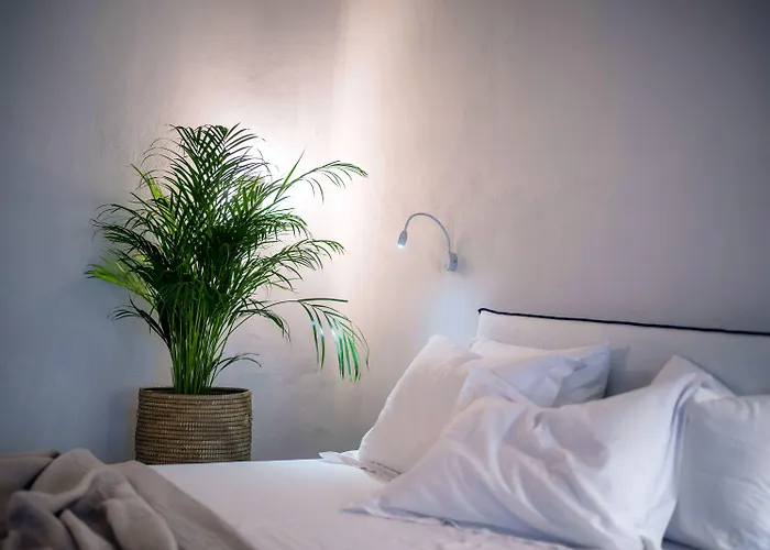 Melidron איוס פרוקופיוס