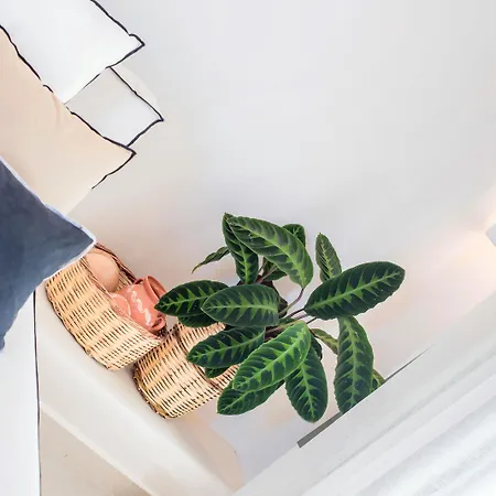 Melidron Hotel Suites Villas