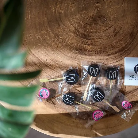 Melidron Hotel Suites Villas 3* アギオス・プロコピオス